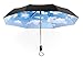MoMA Mini Sky Umbrella Exclusive