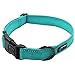 Max and Neo NEO Nylon Buckle Reflective Dog Collar – We Donate a Collar to a Dog Rescue for Every Collar Sold (Large, Teal)thumb 1