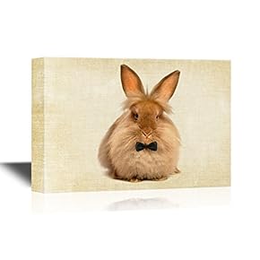 Canvas Wall Art - A Lying Chocolate Colored Lionhead Bunny Rabbit - Gallery Wrap Modern Home Art | Ready to Hang - 12x18 inches