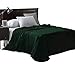 Exclusivo Mezcla Fleece Blanket Queen Size for Bed, Super Soft and Warm, All Season Use, Cozy, Plush, Lightweight, 90x90 Inches, Forest Green