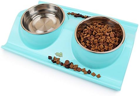 Double Dog Cat Bowls, Stainless Steel Nonslip No Spill Pet Food Water Feeder (blue)