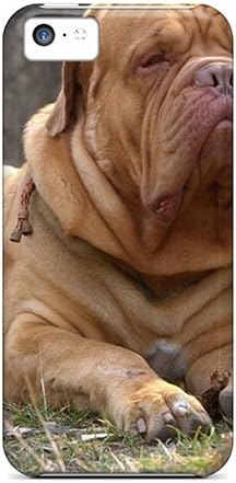 funny dogue de bordeaux
