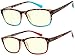 Success Eyewear Computer Glasses 2 Pair Anti Glare Spring Hinge Ombre Color Computer Reading Glasses for Men and Women Set of Havana Blue and Havana Red 2
