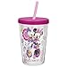 Zak Designs Mickey & Minnie Mouse 13 oz. Insulated Tumbler With Straw, Minnie Mouse