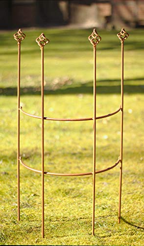 Manufaktur Lichtbogen Staudenhalter halbrund 80 x 43,5 cm Staudenstütze Pflanzenstütze aus Metall – Bild 3