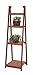 Convenience Concepts 4-Tier Plant Stand