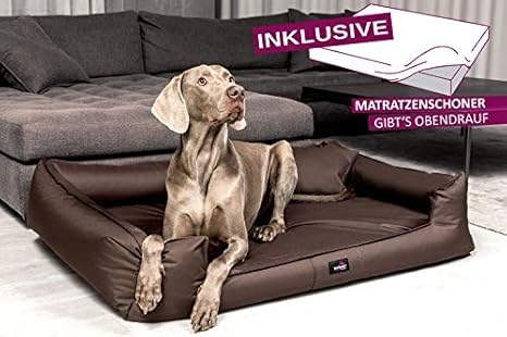 Tierlando Lit Orthopedique Pour Chien Goofy Visco Inclus Protege