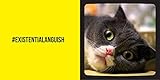 Image de Cat Selfies