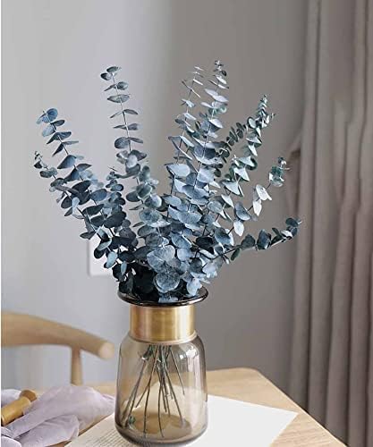 Dried & Preserved Flora - Dried Flowers Decor 10PCS, Eucalyptus Stems, Eucalyptus Decor for Vase, Thanksgiving Table Decor, Home Decor