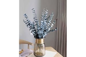 YYS Dried Flowers Decor 10PCS, Eucalyptus Stems, Eucalyptus Decor for Vase, Thanksgiving Table Decor, Home Decor
