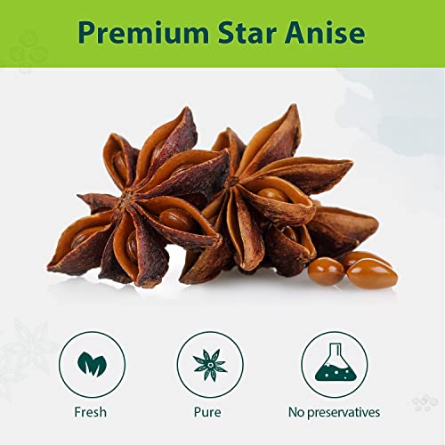 Soeos Star Anise Seeds 16 ounce (1 lb), Whole Chinese Star Anise Seed