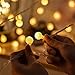 100 LED Globe String Lights, Ball Christmas Lights, Indoor / Outdoor Decorative Light, USB Powered, 39 Ft, Warm White Light - for Patio Garden Party Xmas Tree Wedding Decoration (NO INCLUE USB PLUG)