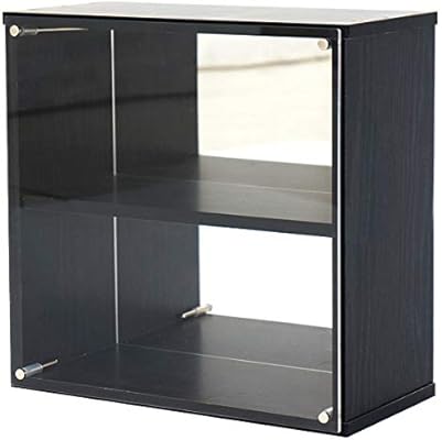 前件 抵当 加速度 Amazon フィギュア ケース Biden Nagomi Jp