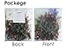 Artificial Rose Garland Silk Flower Vine for Valentine Home Wedding Garden Decoration