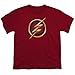 The Flash Logo -- CW's The Flash TV Show Youth T-Shirt, Youth Large