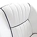 Leader Accessories Pontoon Captains Bucket Seat Boat Seat (White/Navy Blue piping)