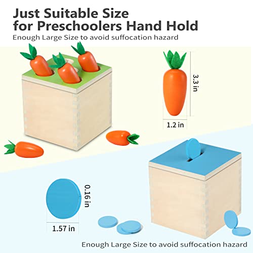 Babehey 4 in 1 Montessori Toys for 1 Year Old Boys Girls, Wooden Shape