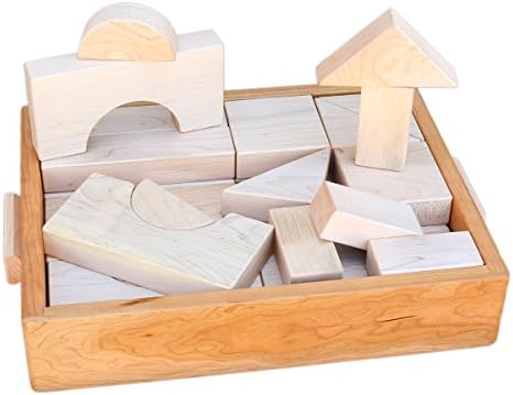 Maple Wood Architectural Building Blocks in Wood Case, Set of 30