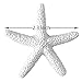 Anyumocz 40 Pcs Starfish White Resin Pencil Finger Sea Star for Wedding Party Christmas, Home and Craft Project