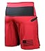 Sanguine Men Shorts, Workout Shorts, WOD Shorts, Training Shorts for Men (Red, Large)