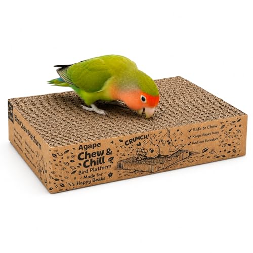 Agape Cardboard Bird Platform