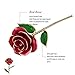 24k Gold Rose Flower,Best Romantic Gift For Christmas's Day, Valentine’S Day, Mother'S Day, Birthday Gift ,Anniversary Gift.24K Gold Dipped Long Stem Rose With Moon-Shape Stand By K_LUCKYI