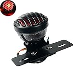 TUINCYN Red Motorcycle Tail Light With License Plate Holder Black Heavy Duty Motorcycle 12V Indicators Blinkers Lights Brake Stop Running Light For Harley Aprilia BMW Ducati Suzuki Yamaha 1-Pack