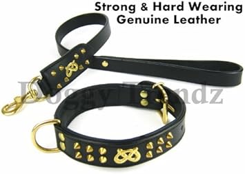 do schnauzers get along with cats