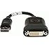 HP DisplayPort to DVI Adapter Cable
