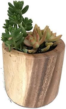 SDSHomeImports Acacia Wood Cylinder Bowl