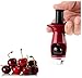 Pit Puncher Cherry Pitter and Olive Stoner Remover Tool