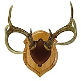 Walnut Hollow Country Deluxe Antler Mount & Display Kit, Pine
