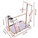 QBLEEV Bird Playground Birdcage Playstand Parrot Play Gym Parakeet Cage Decor Budgie Perch Stand with Feeder Seed Cups Ladder Hanging Swing Chew Toys Conure Macaw Cockatiel Finch Small Animalsthumb 1