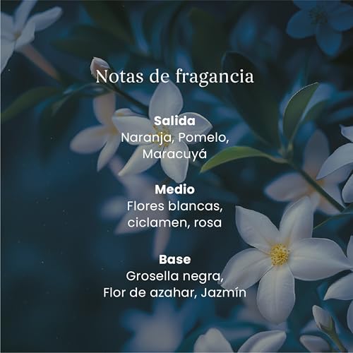 Yankee Candle Difusor de varillas | Noche de verano | Para espacios pequeños y medianos | Hasta 10 semanas de fragancia