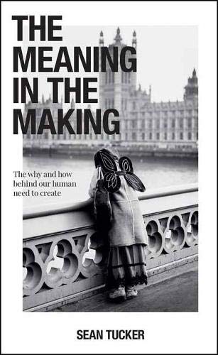 Amazon Com The Meaning In The Making The Why And How Behind Our Human Need To Create Tucker Sean Books