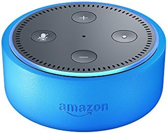 setting up alexa for kids