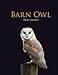 Barn Owl