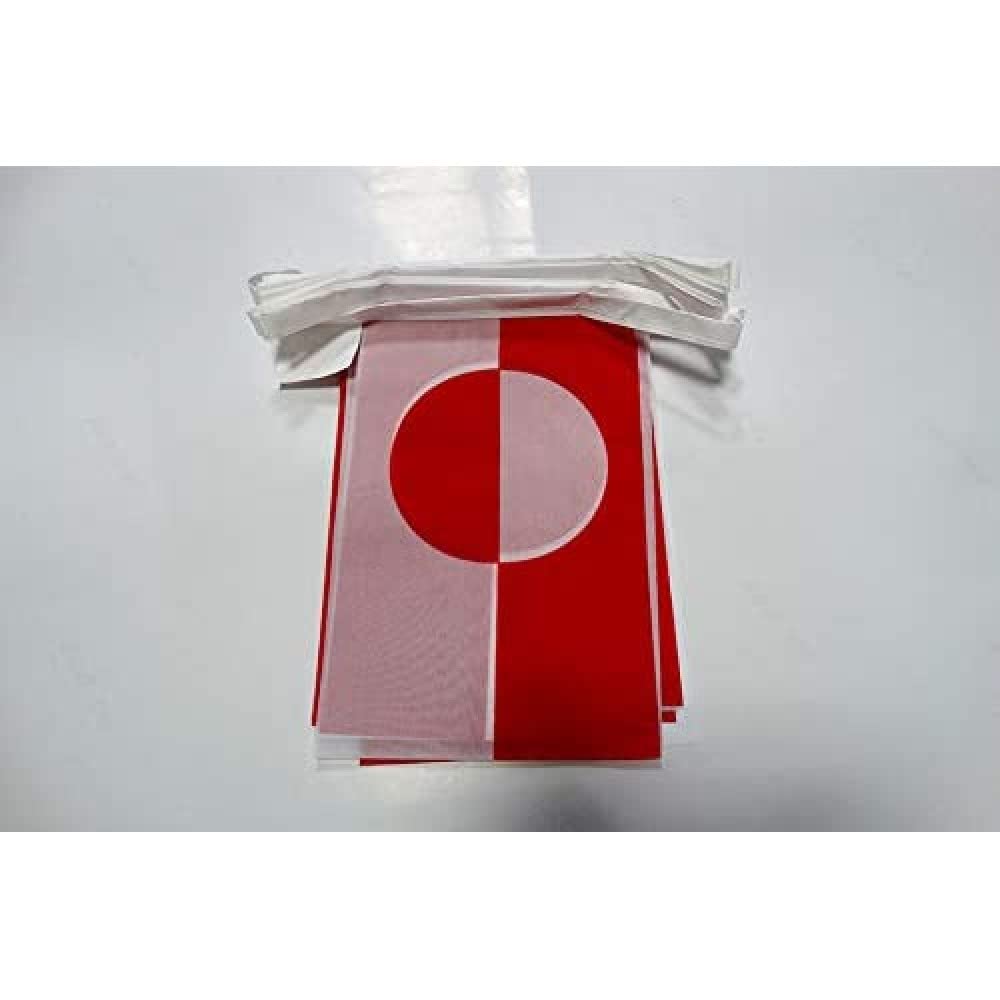 AZ FLAG - Greenland Bunting Flag - 40 Ft Garland with 20 Greenlander Flags 18'' x 12'' - 100% Polyester String Pennant - 12 meters