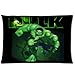 Superhero Series The Incredible Hulk Custom Pillow Cases 20x30 (Two sides)