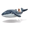 Aurora Snail and The Whale Soft Toy, 61238, 7in, Grey, for Fans of The Book by Julia Donaldson and Axel Scheffler, Blue