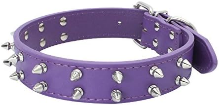 purple studded dog collar