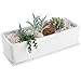 14-Inch Unglazed Rectangular Modern Ceramic Succulent Planter Pot, Window Box with Saucer, Matte White