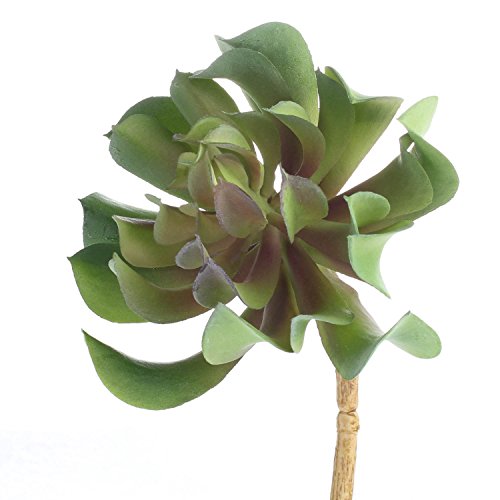 Pair of Unique Looking Succulent Picks for Fairy Gardens, Crafting, and Embellishing