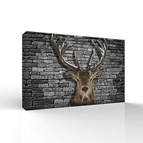 Deer Animal Horn Painting Wall Bedroom Living House