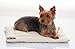 2PET Crate Pad Comfy Cushion Ultra Soft Breathable Crate Mat - Machine Washable and Safe Bed for Dogs, Cats - Lightweight Nap Pad for Dog Kennels and Pet Carriers - 20