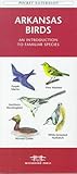 Arkansas Birds: An Introduction to Familiar Species (Pocket Naturalist) by