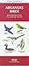 Arkansas Birds: An Introduction to Familiar Species (Pocket Naturalist) by
