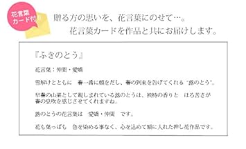 これまでで最高のフキノトウ 花 言葉 最高の花の画像