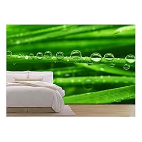 Fresh Green Grass with Water Drops Close Up - Removable Wall Mural | Self-Adhesive Large Wallpaper - 66x96 inches