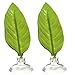 Zoo Med Laboratories AZMBL20 Betta Hammock (2 Pack)